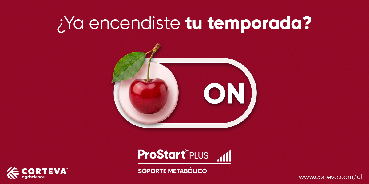 Banner-MyV-1200x600