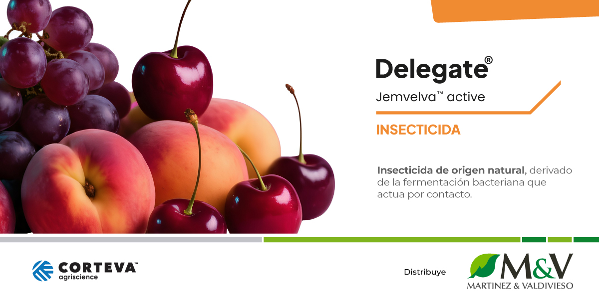 Banner Smart Cherries - Delegate (1)