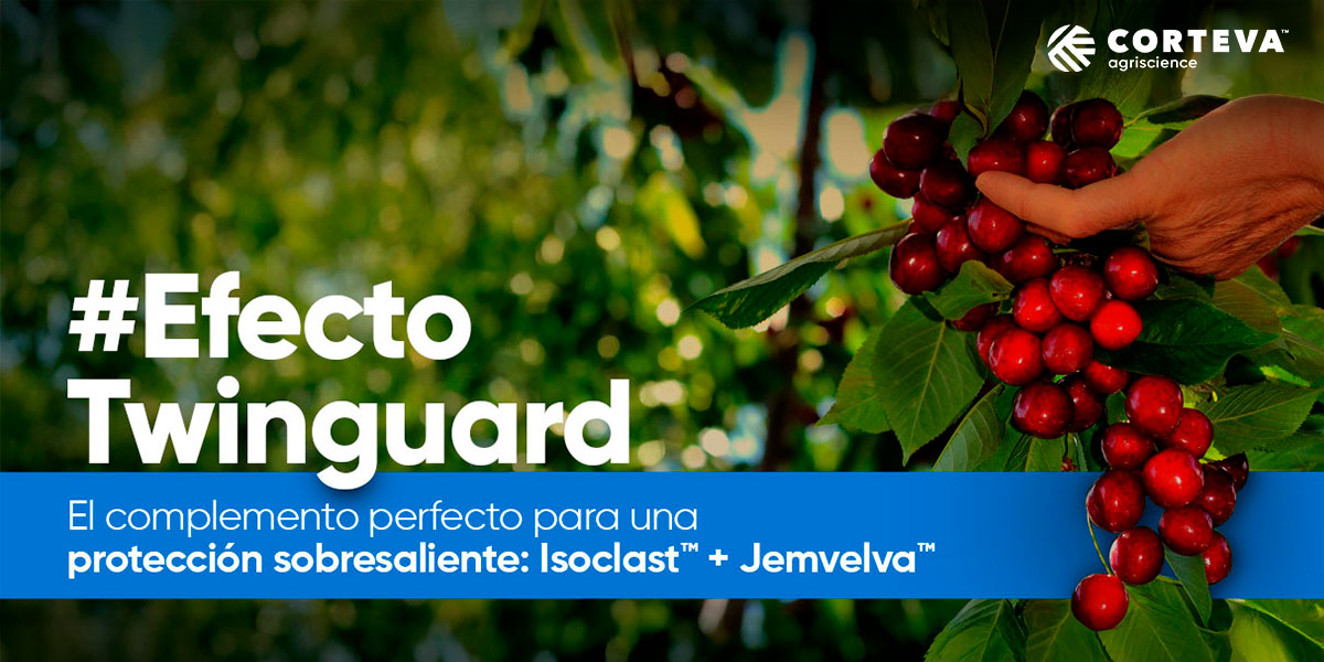 Banner-Smartcerry-tg