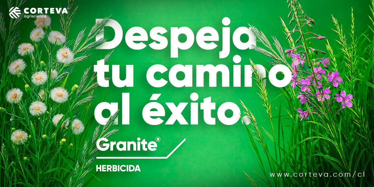 Despeja-tu-camino-al-exito-BSC