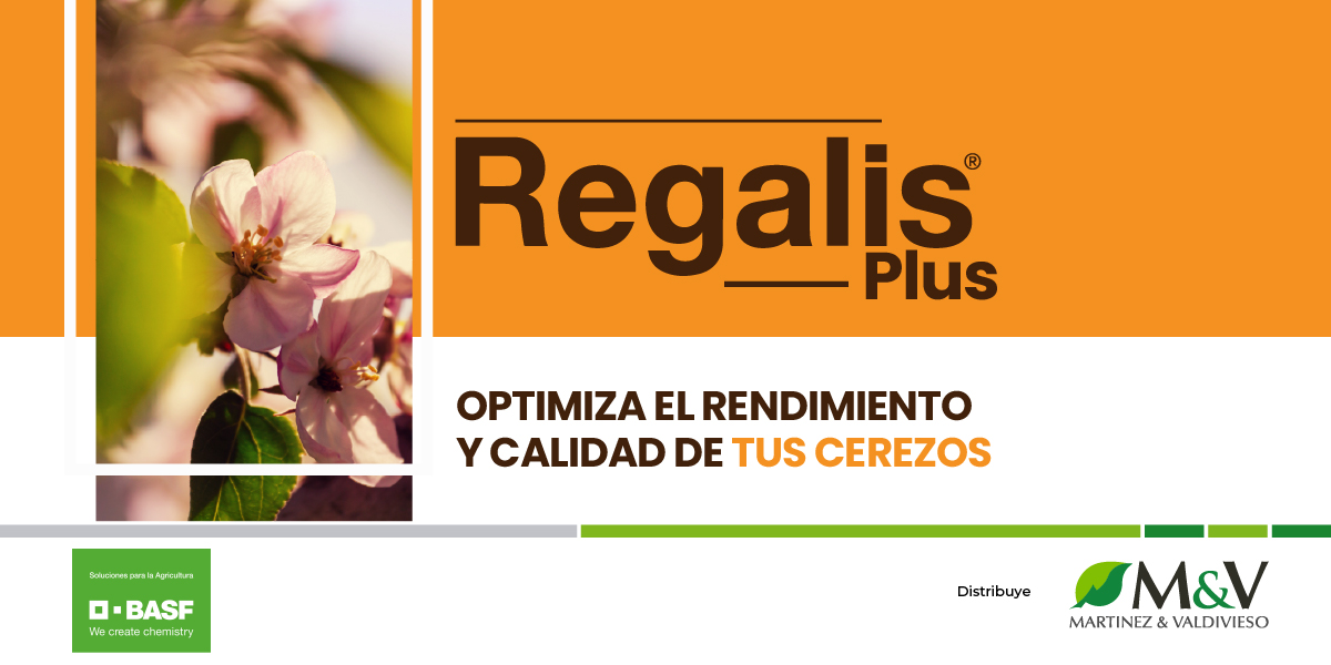 Regalis 3