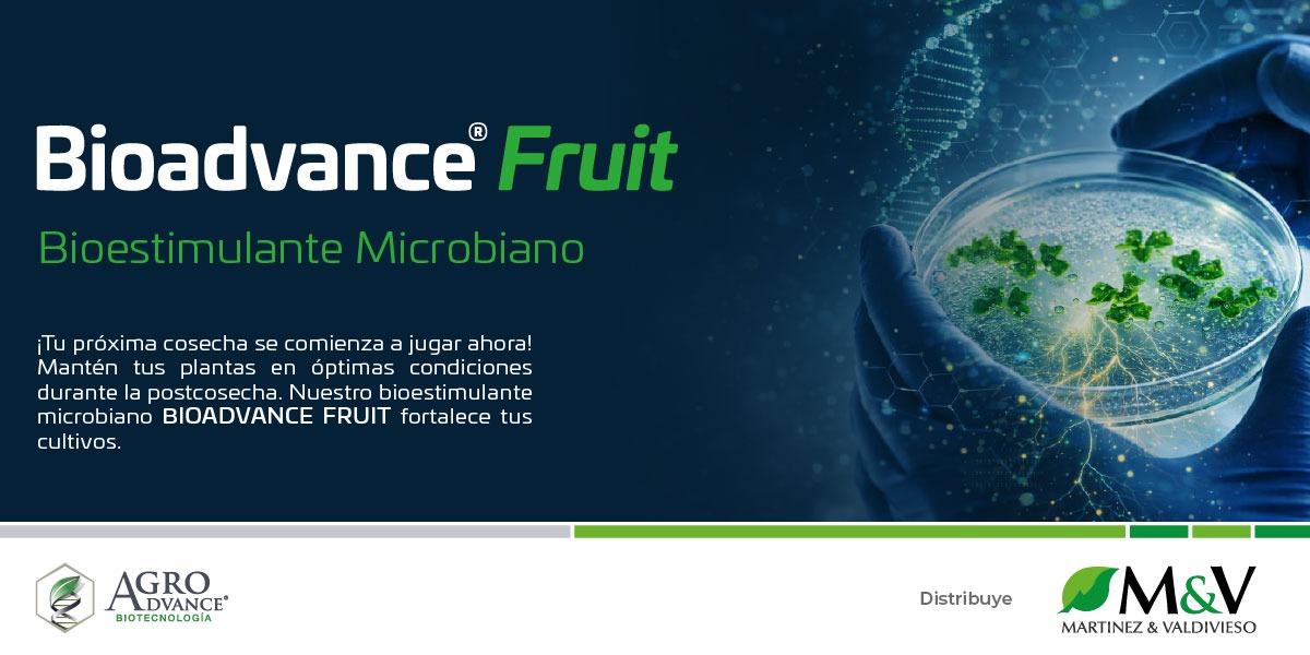 WhatsApp Image 2026-03-16 at 17.51.58