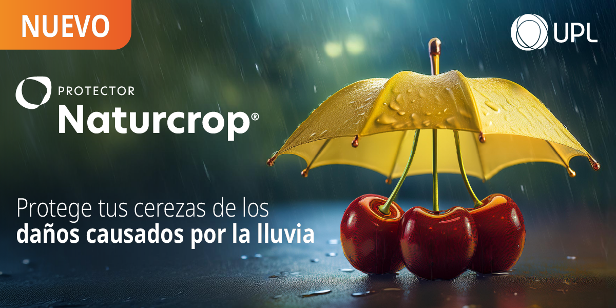 Banner Naturcrop