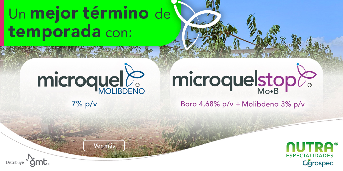 Banner_Smartcherry_Nutra_Moli_Stop_1200x600pix_12.01.26