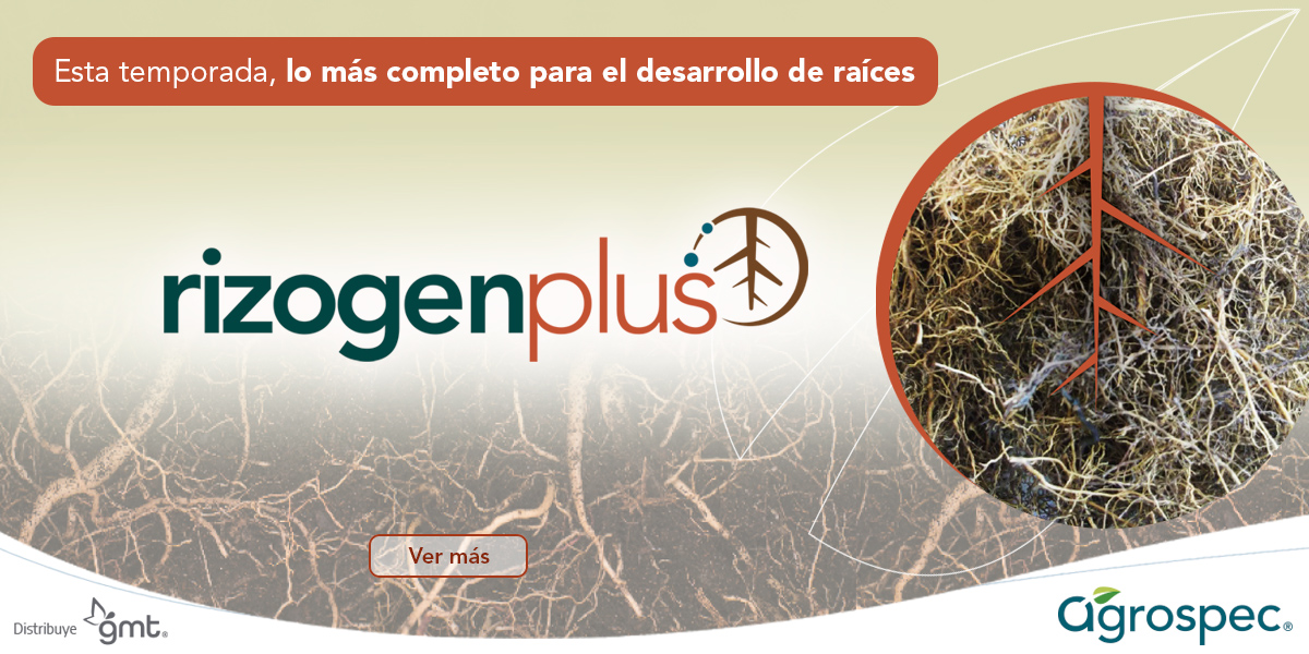 Banner_Smartcherry_Rizogen_Plus_1200x600pix_01.08.25 (1)