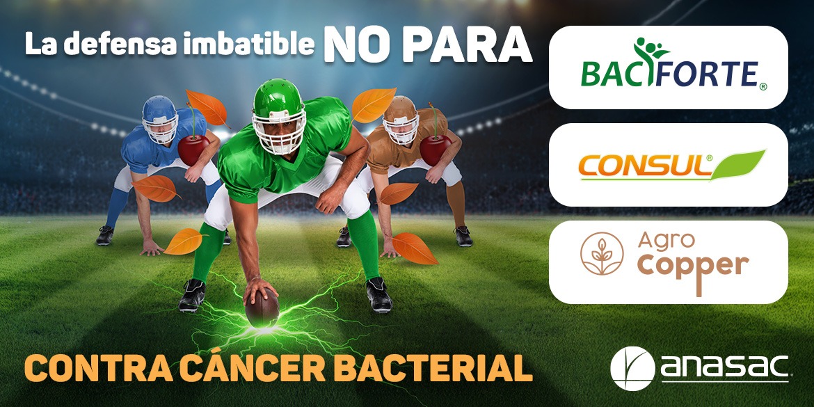 Banner ANASAC Smartcherry - Cancer bacterial