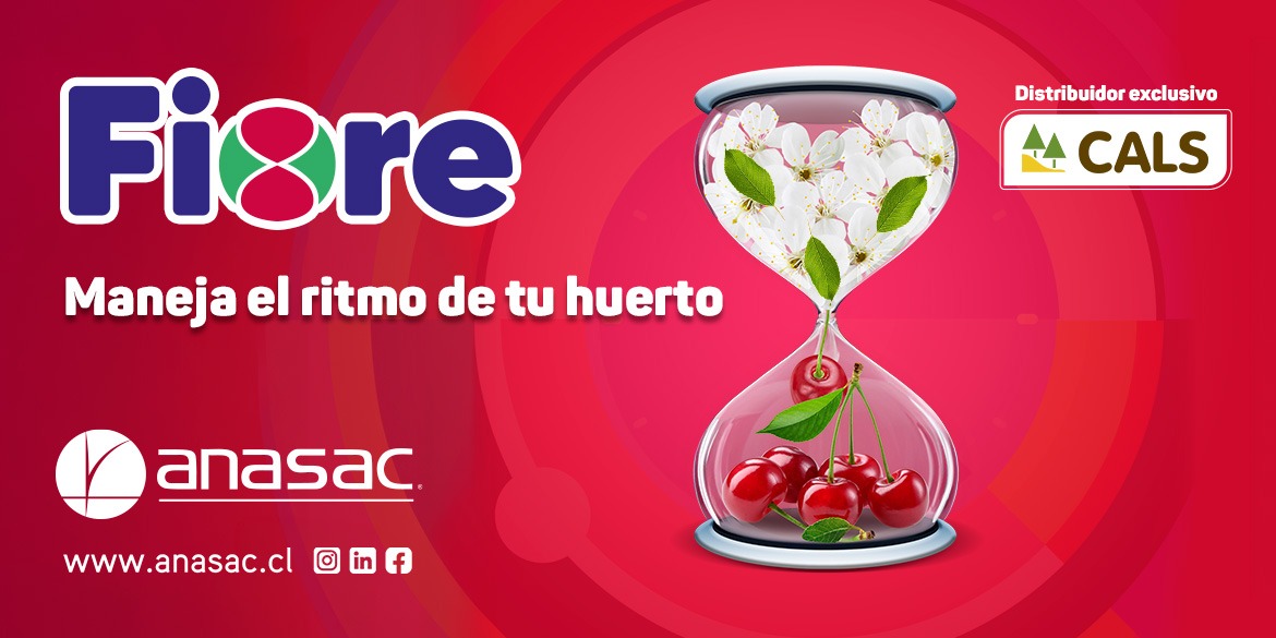 Banner Fiore SmartCherry 2026