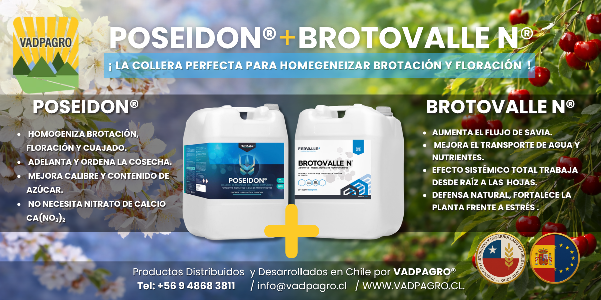 COLLERA BROTACION Y FLORACION