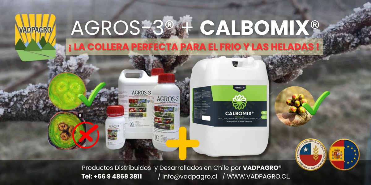 COLLERA FRIO Y HELADAS