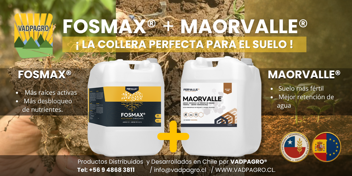 COLLERA PARA EL SUELO