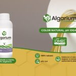 WhatsApp Image 2026-02-17 at 12.50.38