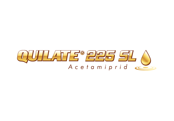 logo__Quilate-225-SL