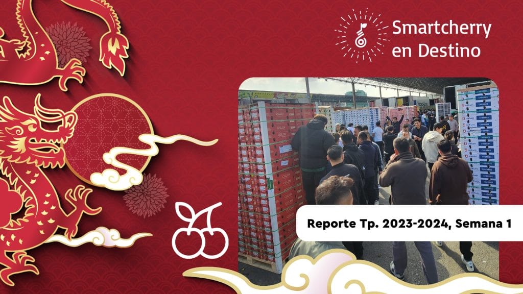 Reporte-Temporada-2023-2024-Semana-52