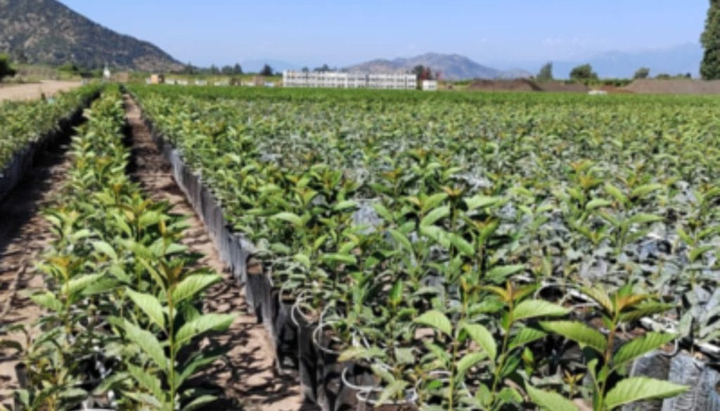 portada 1400x800 (84)