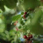 Photo by Ági Szabó on Unsplash