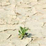 Photo by Steve Harvey on Unsplash