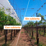 Captura-de-pantalla-2024-06-25-a-las-11.48.34