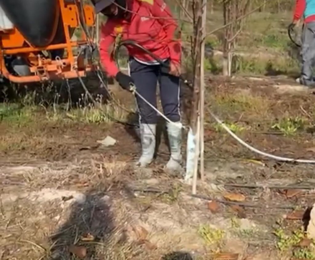 WhatsApp-Image-2024-07-25-at-14.22