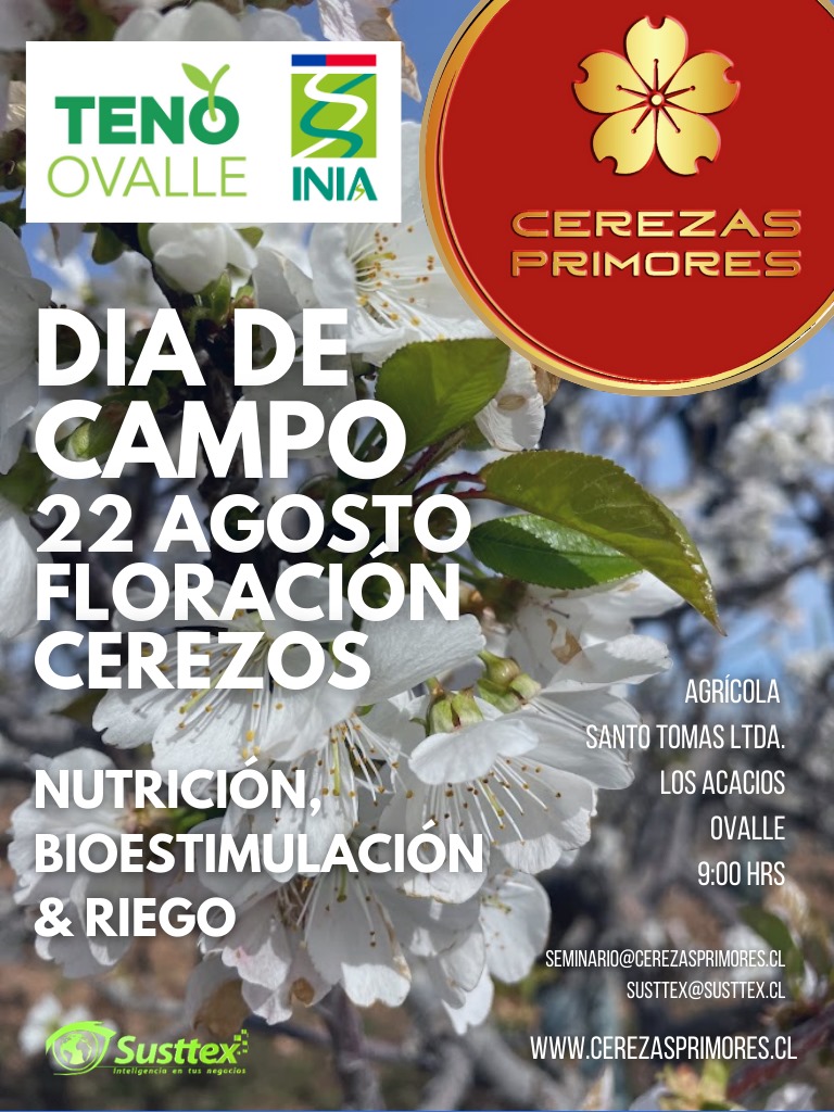 Cerezas