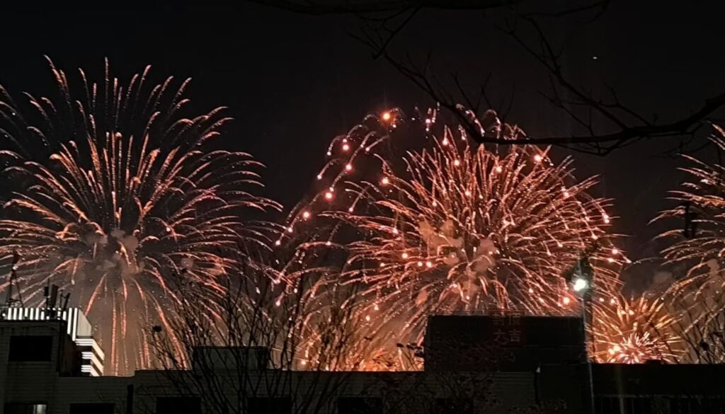 Año nuevo chino (2)