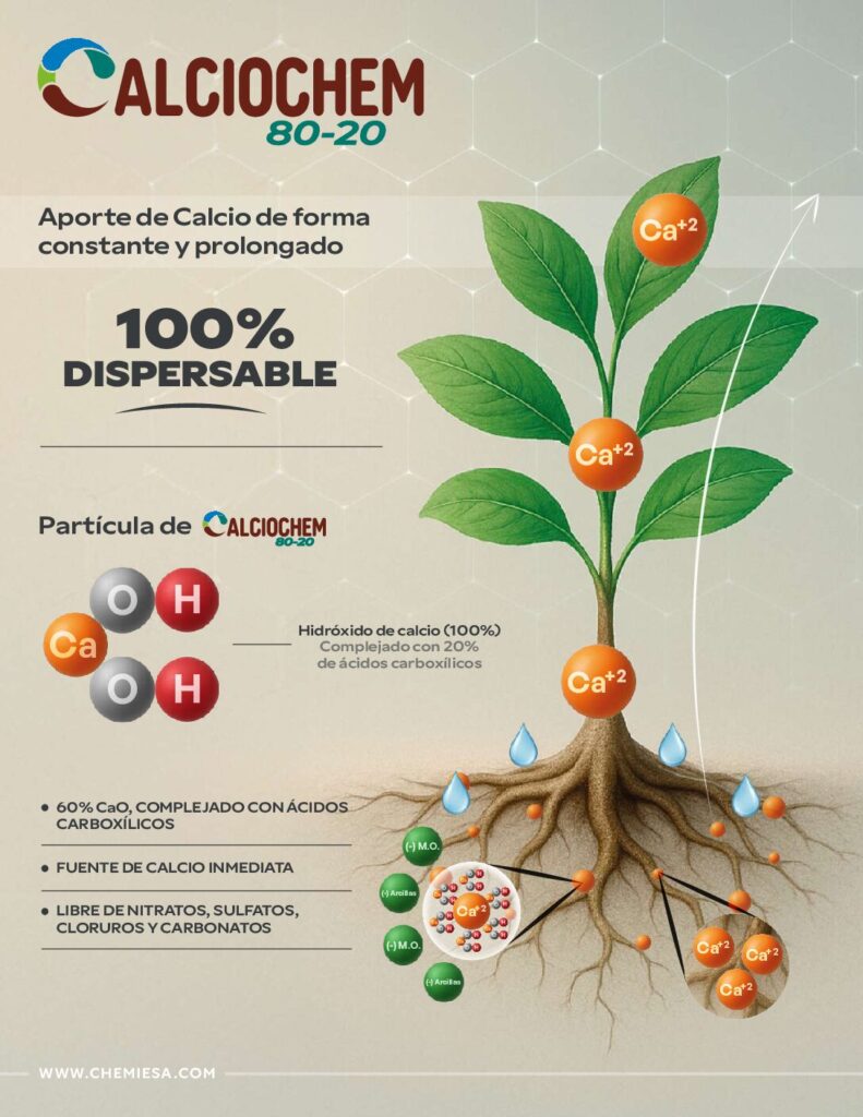 FOLLETO CALCIOCHEM_compressed 2025