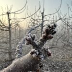 IMG_0060