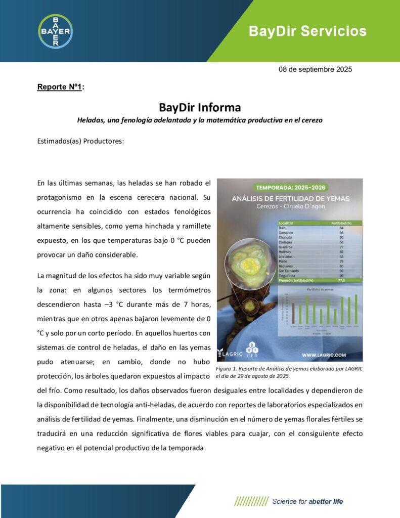 BAYDIR INFORMA Nº1 2025 Cerezos (1) (1)