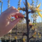 WhatsApp Image 2025-09-23 at 16.15.05 (2)