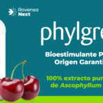 banner-nota-smartcherry-phylgreen
