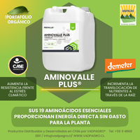 AMINOVALLE