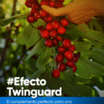 Captura de pantalla 2025-10-15 a la(s) 10.10.27 a.m.