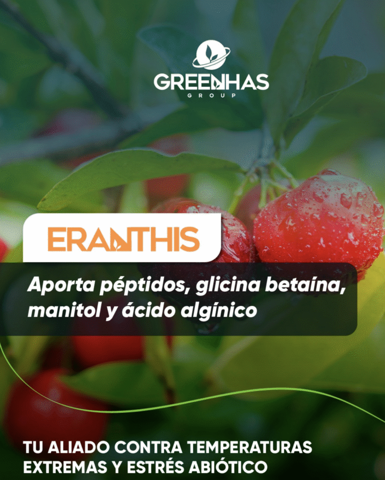 Captura de pantalla 2025-10-23 a la(s) 2.21.30 p.m