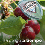 Captura de pantalla 2025-10-24 a la(s) 1.21.36 p.m.