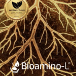 Captura de pantalla 2025-10-24 a la(s) 9.40.50 a.m.