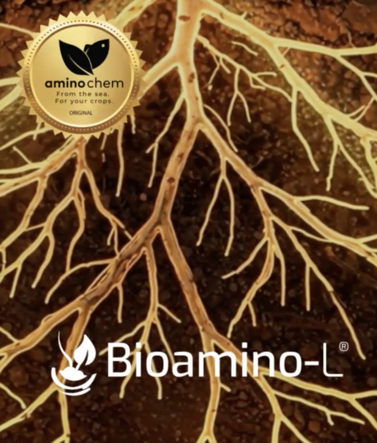 Captura de pantalla 2025-10-24 a la(s) 9.40.50 a.m