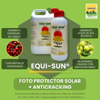 EQUI SUN