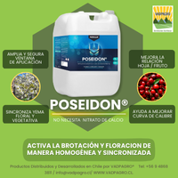 POSEIDON