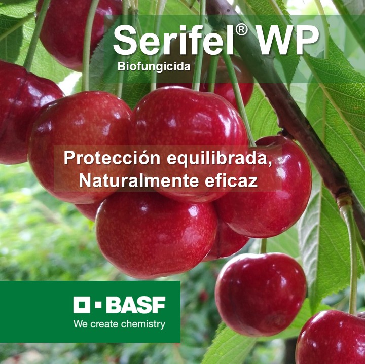 WhatsApp Image 2025-10-09 at 17.14