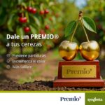 WhatsApp Image 2025-10-13 at 18.30.43