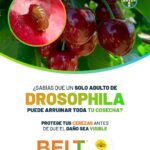 WhatsApp Image 2025-10-20 at 14.02.29