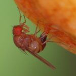 WhatsApp Image 2025-10-21 at 17.03.48