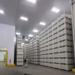 WhatsApp Image 2025-10-22 at 13.33.03 (1)