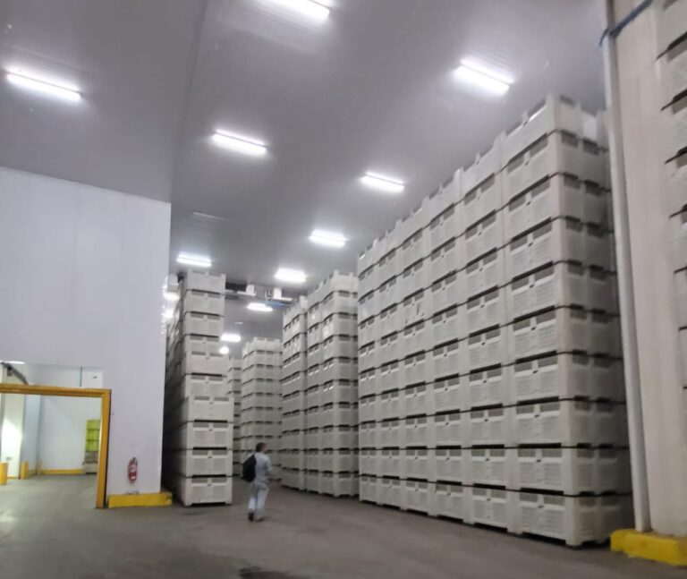 WhatsApp Image 2025-10-22 at 13.33