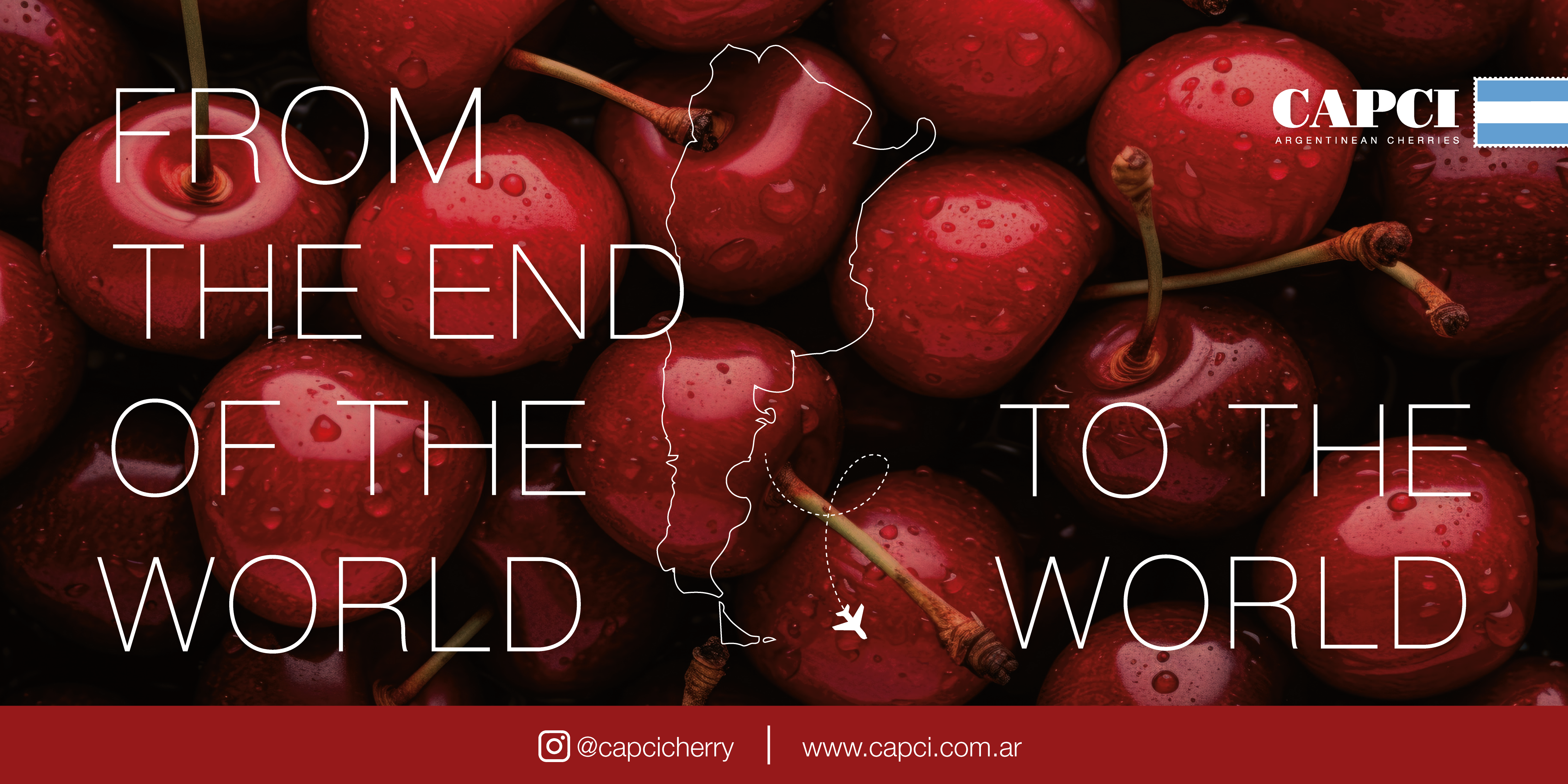 banners micrositio 1