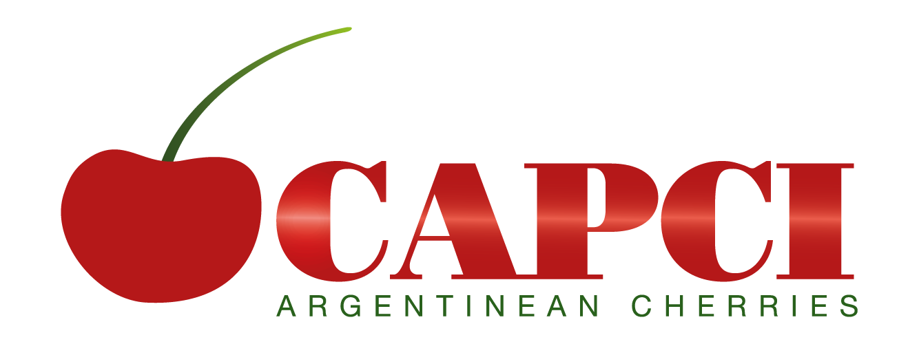 logo capci 320x120px_Mesa de trabajo 1 (1)