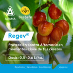 575120663_1412364567558703_8884991609988479720_n