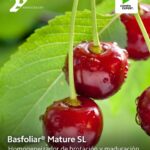 581056848_18163436827388410_4050437525243859139_n