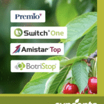 Captura de pantalla 2025-11-06 a la(s) 6.05.50 p.m.