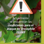 Captura de pantalla 2025-11-14 a la(s) 3.05.25 p.m.