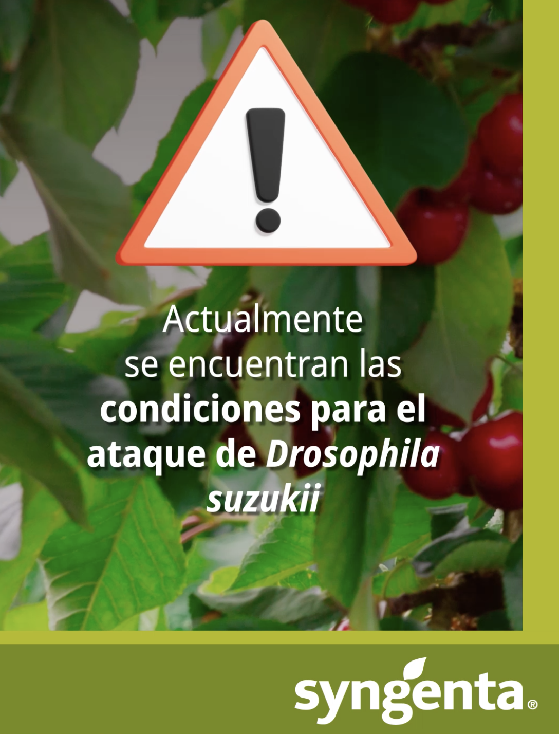 Captura de pantalla 2025-11-14 a la(s) 3.05.25 p.m